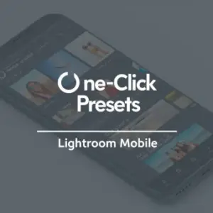 One-Click Presets in Lightroom Mobile